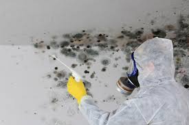 Biohazard Mold Removal in Taylorsville, NC